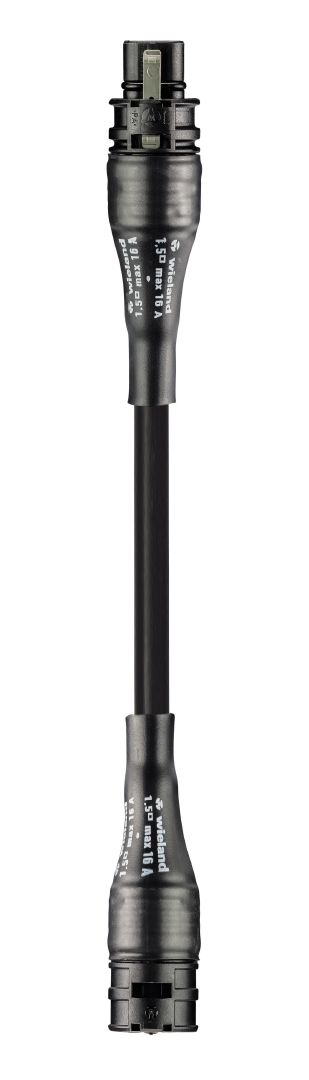 wieland gst18 koppelsnoer 3-polig 9623206001