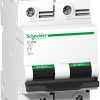 schneider electric c120n 2-polig a9n18385 schneider electric