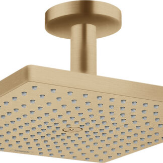 hansgrohe raindance e hoofddouche 26251140 hans grohe