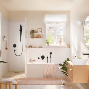hansgrohe rebris s inbouw 72466670 hans grohe