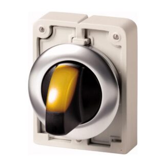 Eaton M30I-FWRLK-Y keuzeschakelaar frontelement rvs