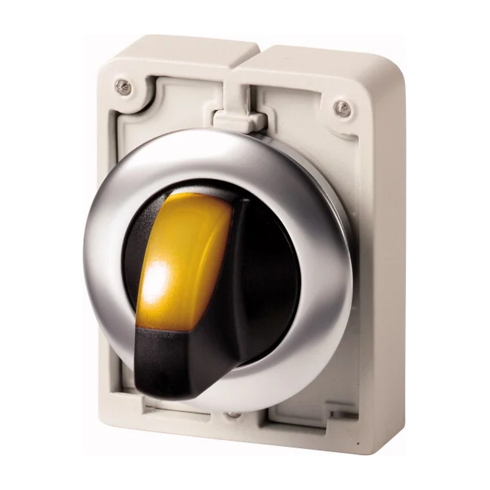 Eaton M30I-FWRLK3-Y keuzeschakelaar frontelement rvs