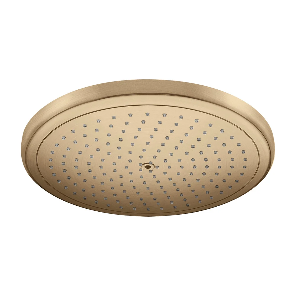 Hans Grohe Croma Hansgrohe hoofddouche douchekop geborsteld