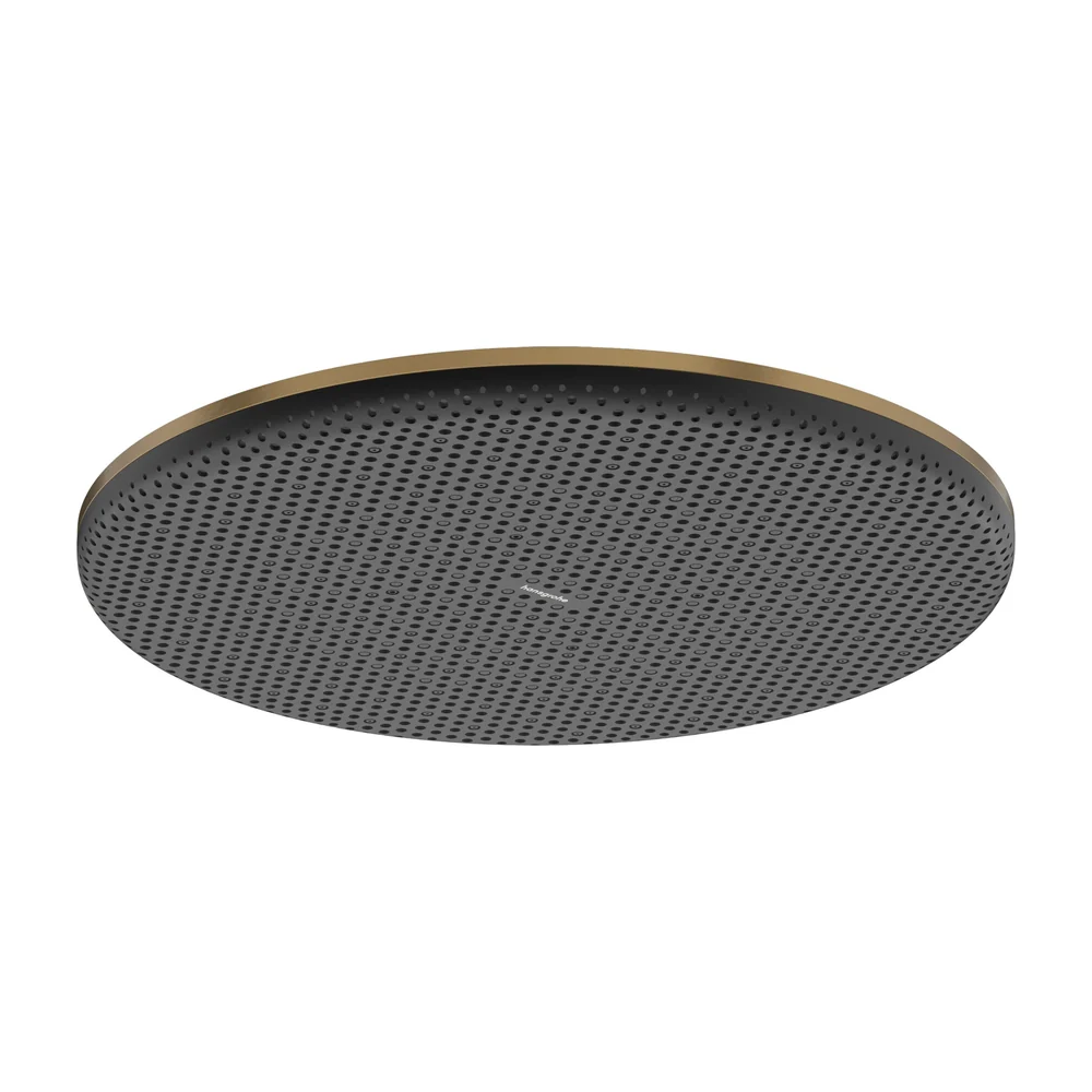 Hans Grohe Raindance Alive S Hansgrohe douchekop 2853860