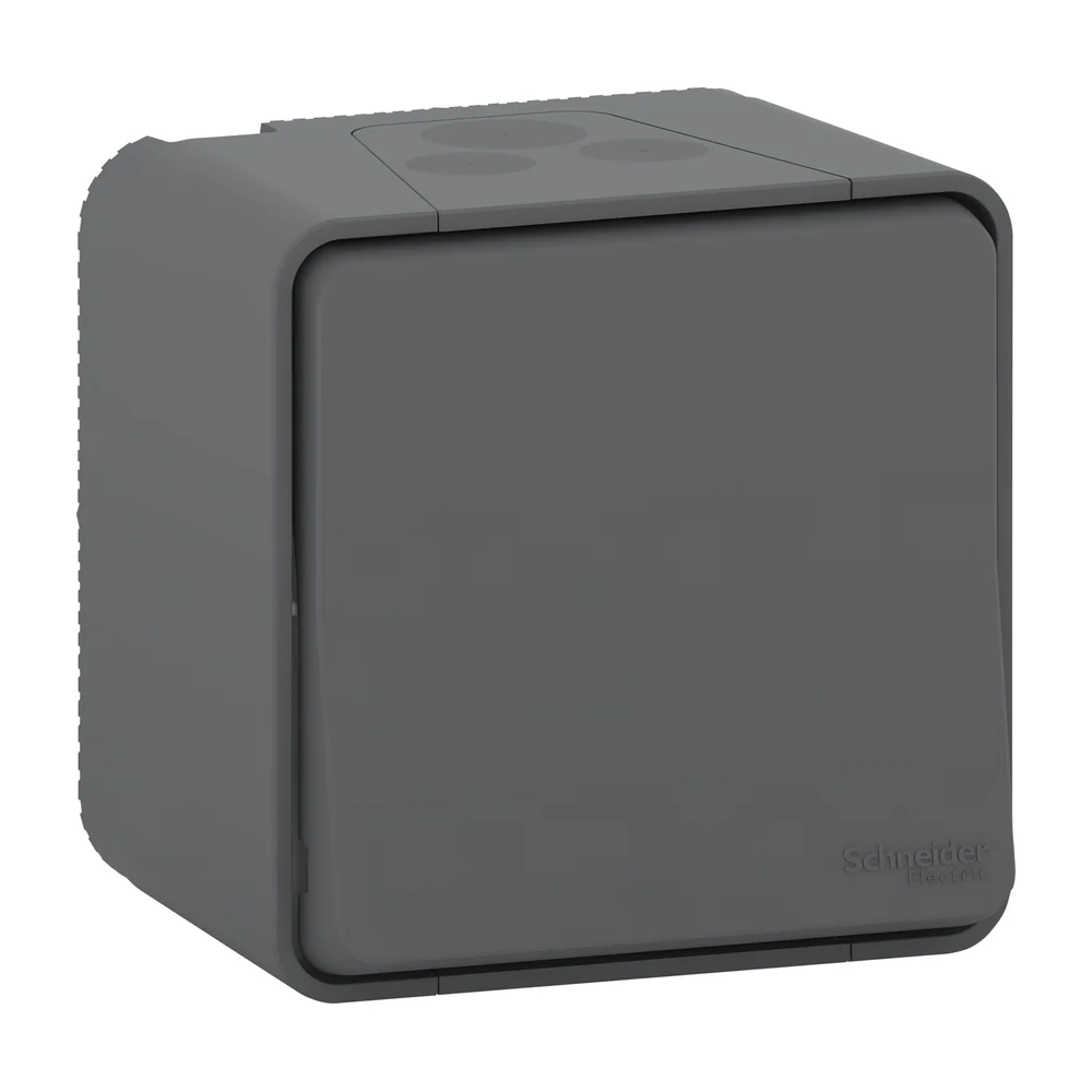 Schneider Electric Merten installatieschakelaar ral7035