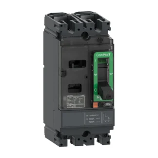 Schneider Electric stroomonderbreker ComPacT NSX100S 2-polig 40 A