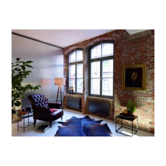 Zehnder Fare Tech elektrische radiatoren